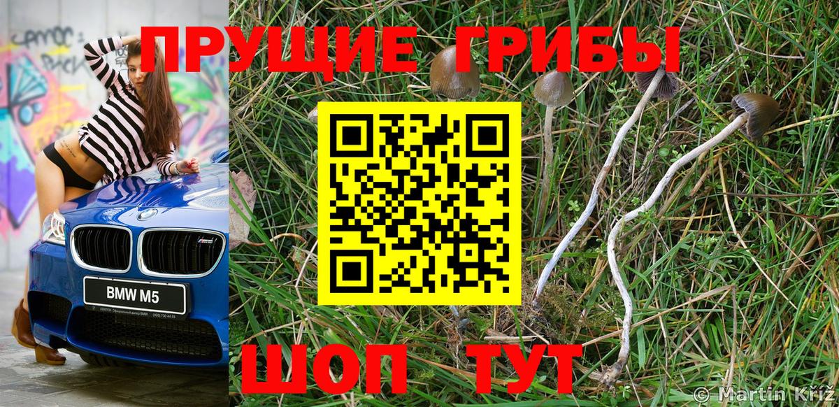 Псилоцибиновые грибы ЛСД Нижнеудинск