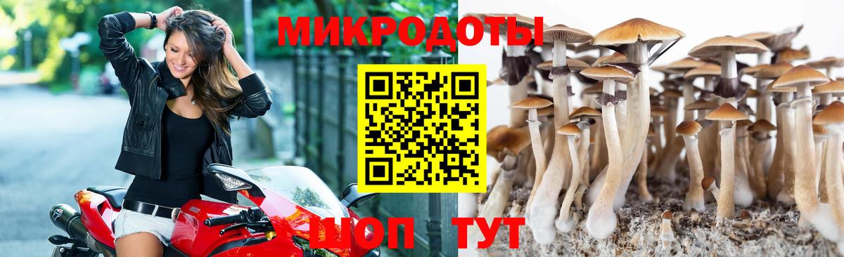 Нижнеудинск  Галлюциногенные грибы ЛСД  Псилоцибиновые грибы Psilocybe  Вход с VPN 